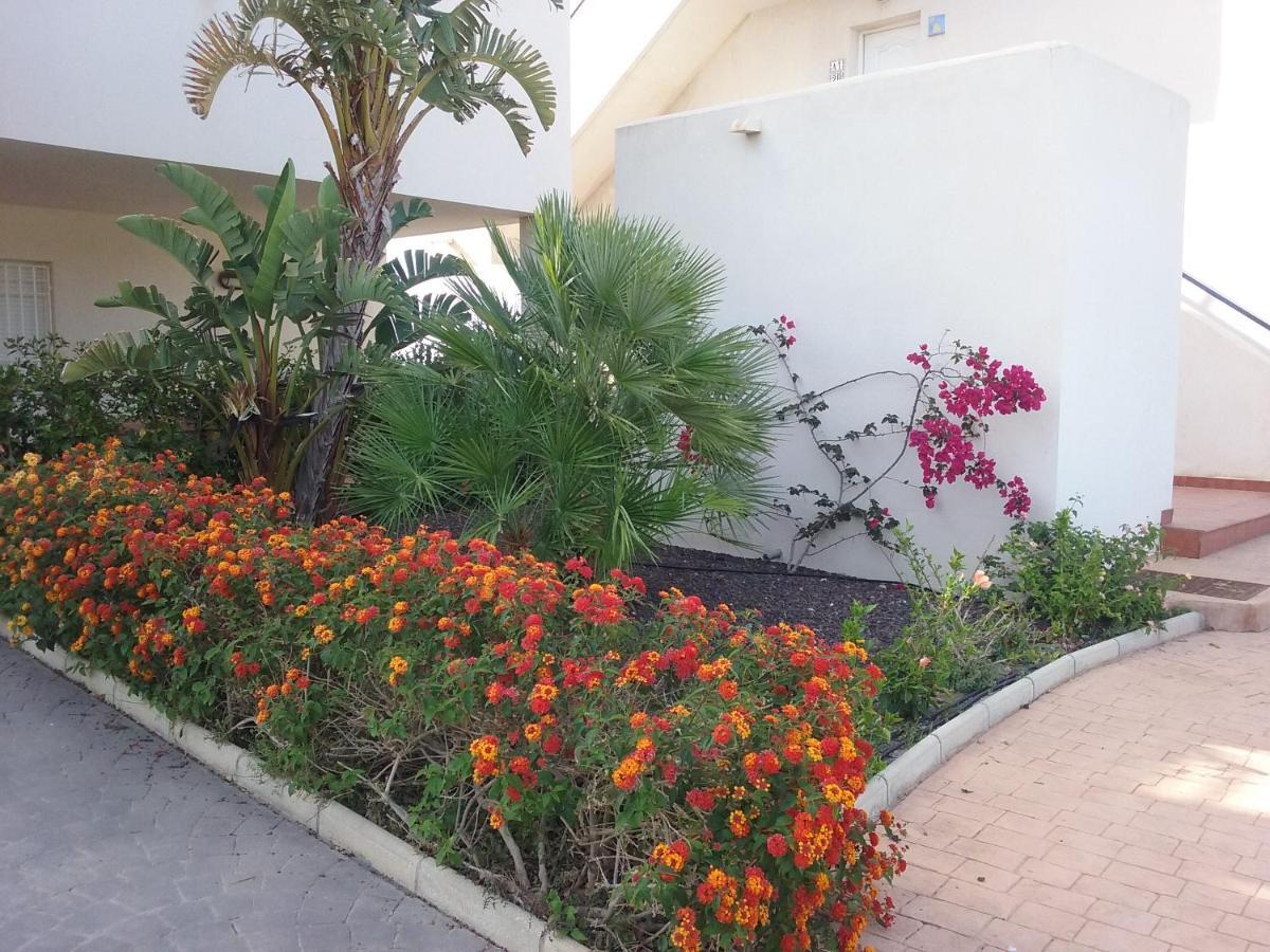 Apartamento Junto Al Mar En La Costa De Almeria El Pozo del Esparto Екстер'єр фото